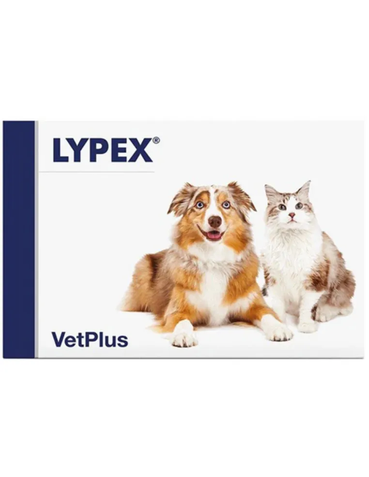 Lypex 60 Capsule VetPlus