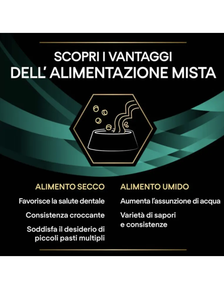 PPVD EN Gastrointestinale Mousse 400GR