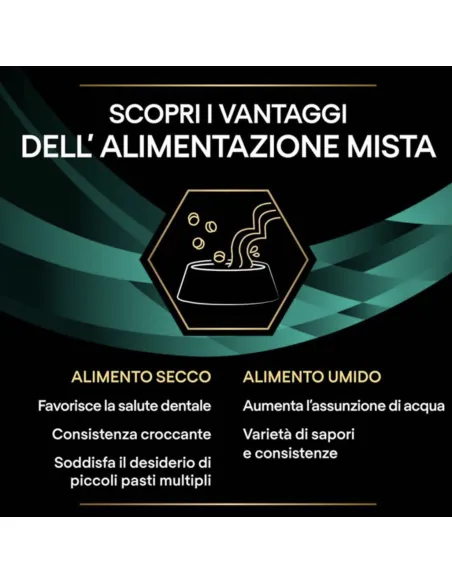 PPVD EN Gastrointestinale Mousse 400GR