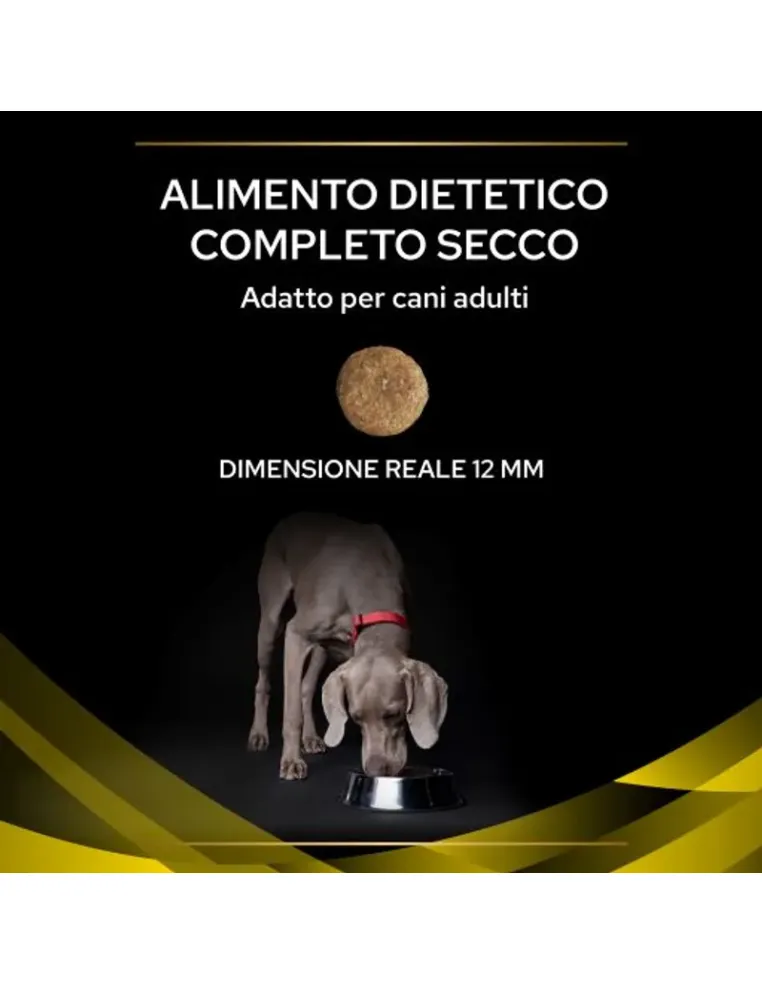 Purina NC Neurocare cane 12 kg