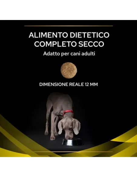 Purina NC Neurocare cane 12 kg