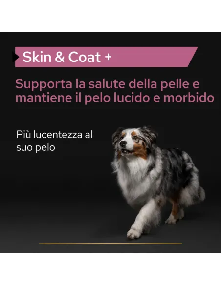 Proplan supplements skin e coat cane 250 ml
