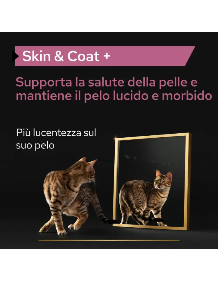 Proplan supplements skin e coat gatto 250 ml