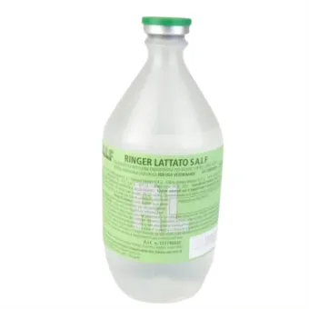 Ringer Lattato Soluzione per Infusione Endovenosa 500ML