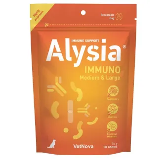 Alysia immuno, duże 30 sztuk gryzaków