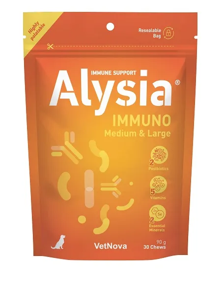 Alysia immuno, duże 30 sztuk gryzaków