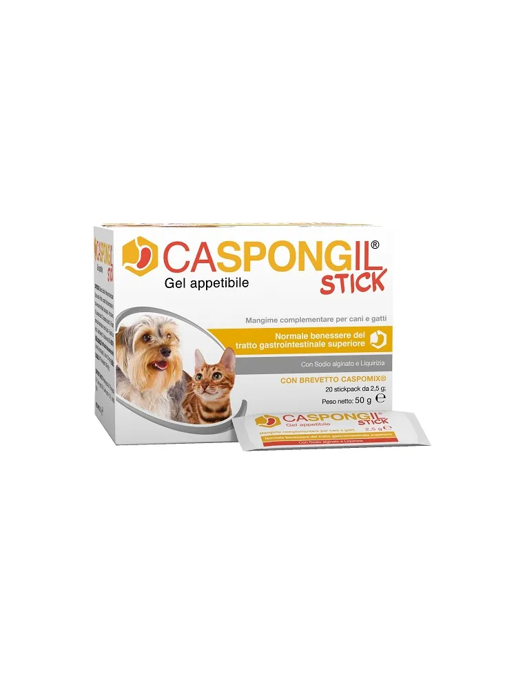 Caspongil stick gel paquet de 20 sticks