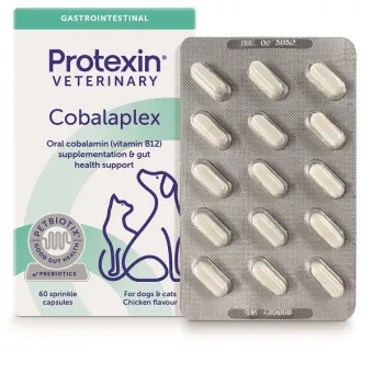 Cobalaplex 60 Kapseln
