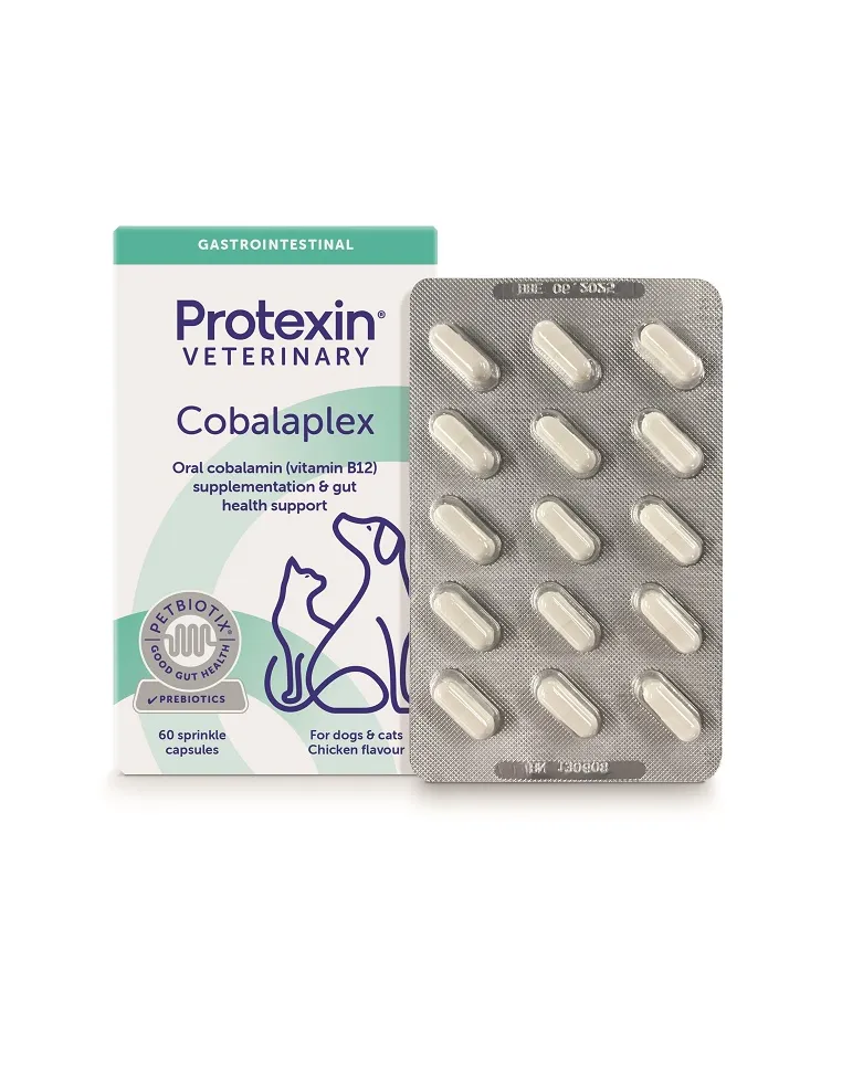 Cobalaplex 60 kapsułek