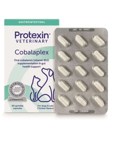 Cobalaplex 60 Kapseln