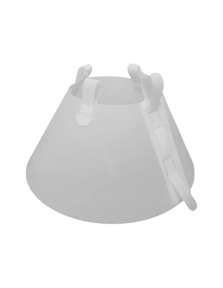 Collier Elisab 12 5 focus