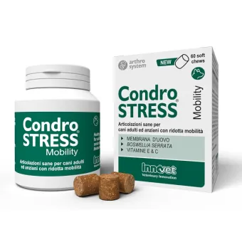 Chondrostress mobility 60 chews innovet