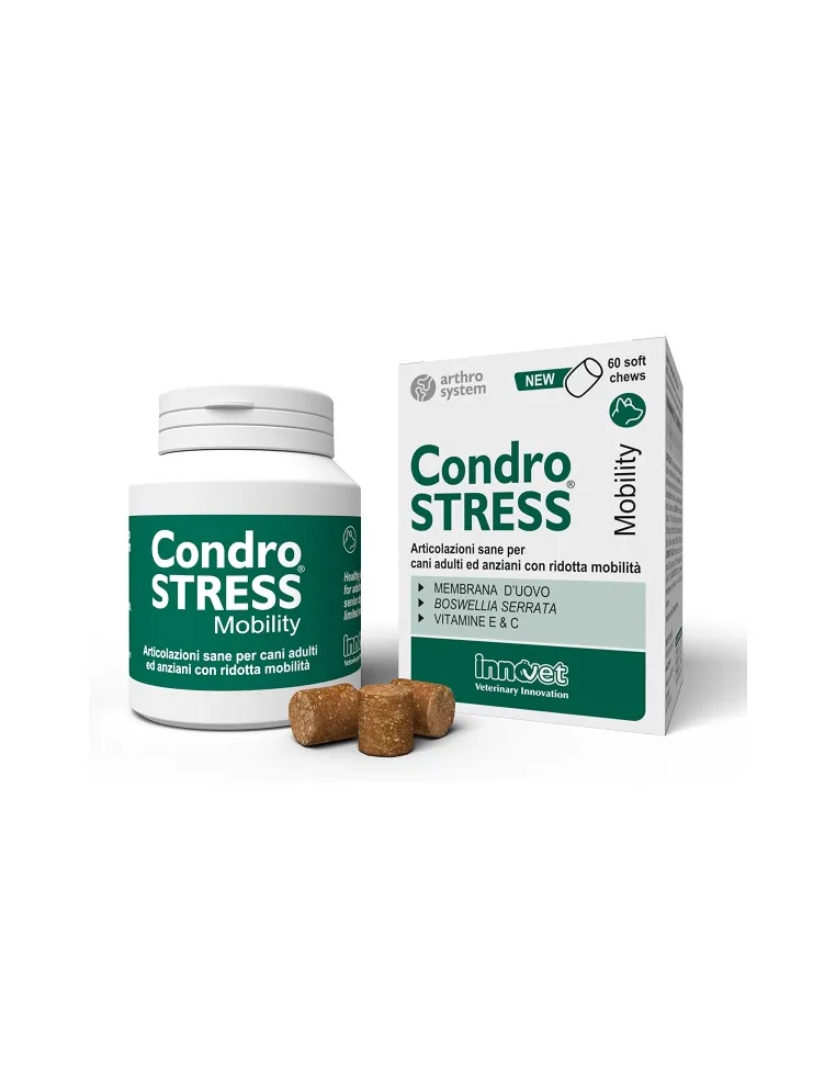 Chondrostress Mobility 60 gryzie innowacyjne