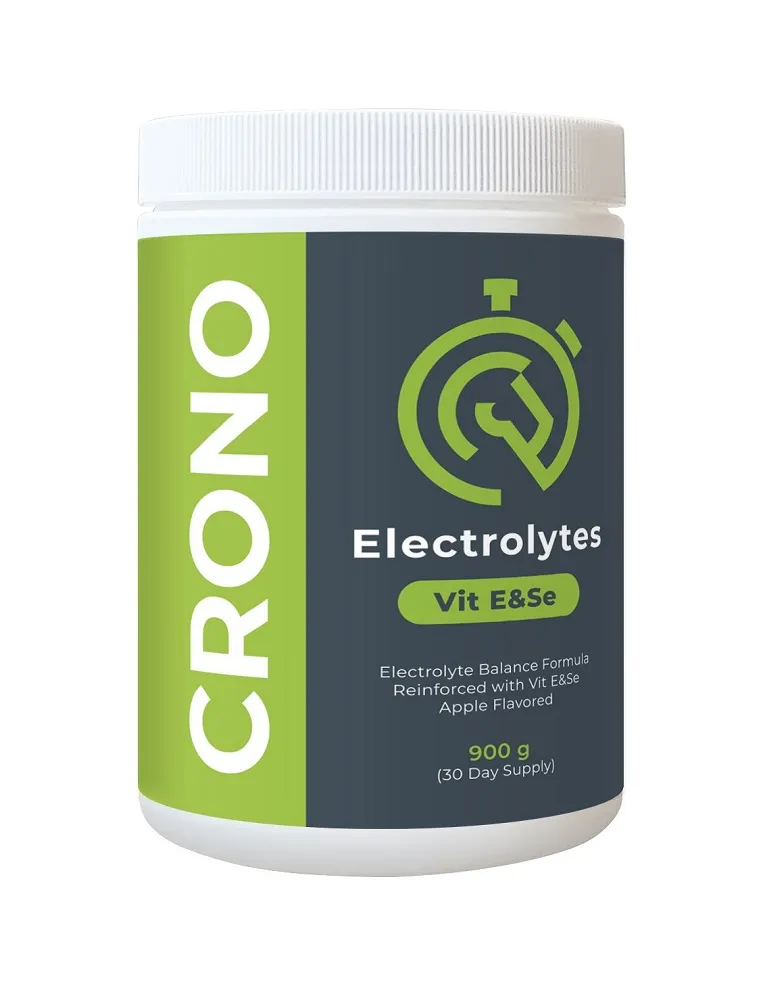 Chrono-Elektrolyte 900 g