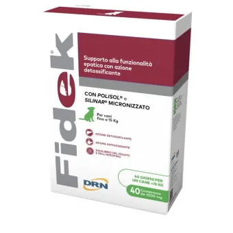 Fidek 40 Tabletten 1 g