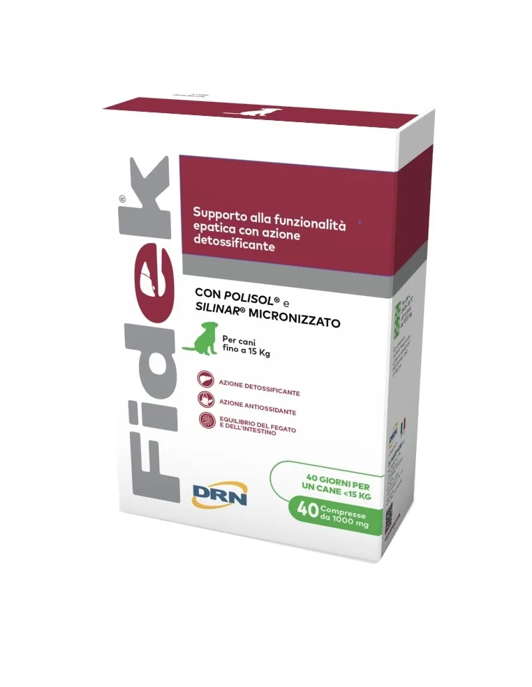 Fidek 40 tabletek 1 g