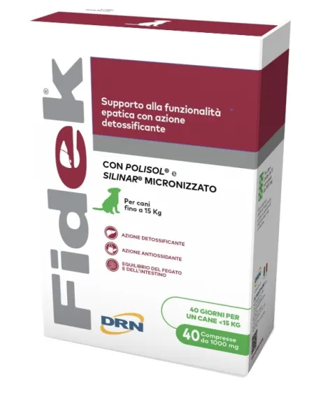 Fidek 40 compresse 1 g