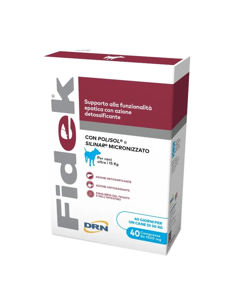 Fidek 40 tablets 1.5 g
