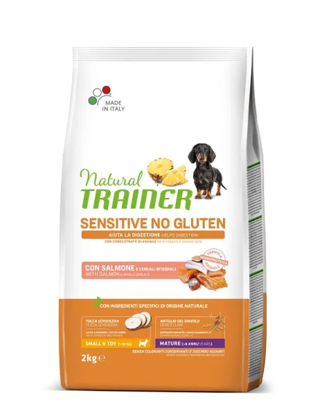 Nt dog sens estera mini salm 2 kg