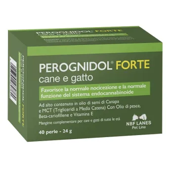 Perognidol forte 40 Perlen