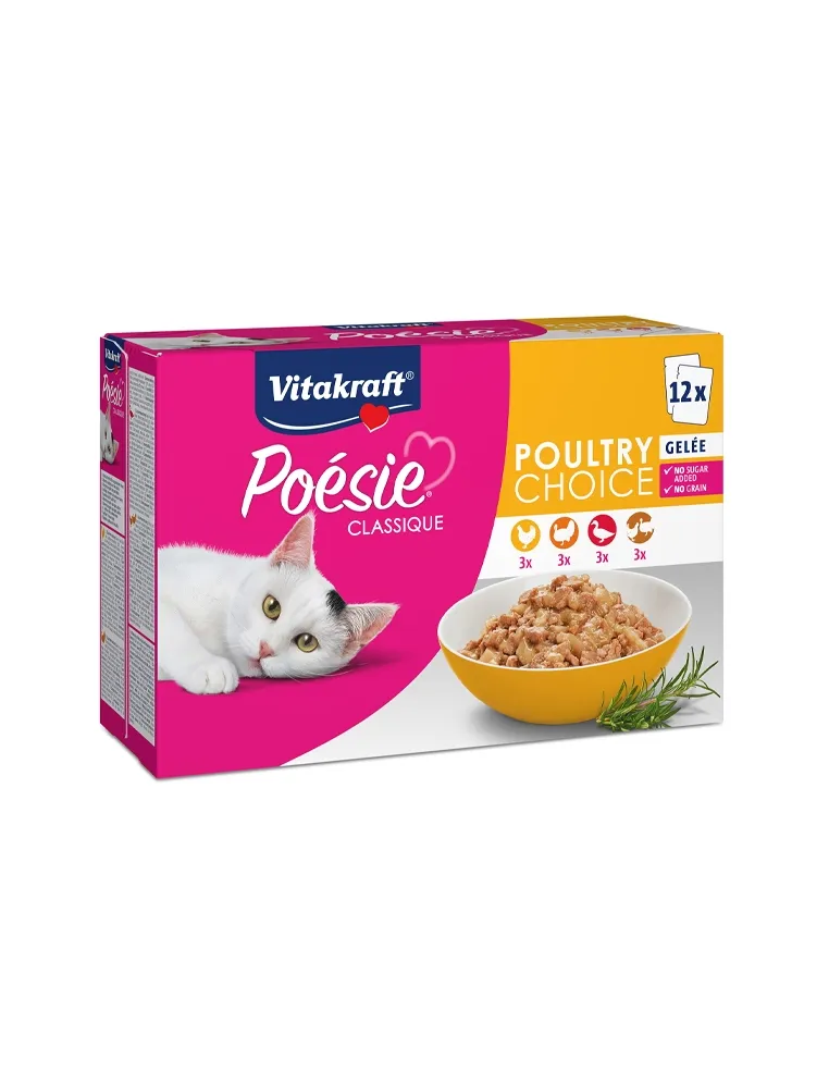 Enveloppe Chat Poésie Classique Gelée Pack de...