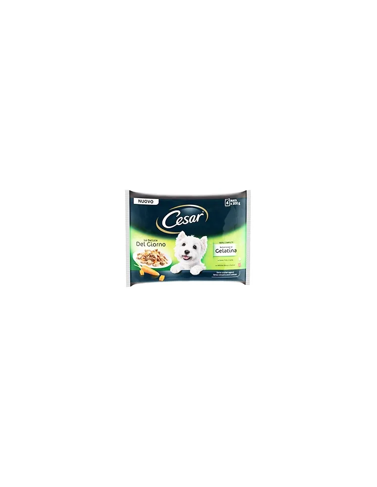 Delizie del Giorno Dog Cesar 4x100gr in Gelatina
