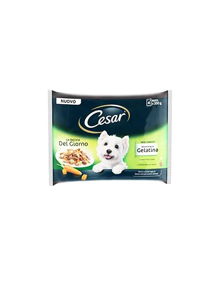 Delizie del Giorno Dog Cesar 4x100gr in Gelatina