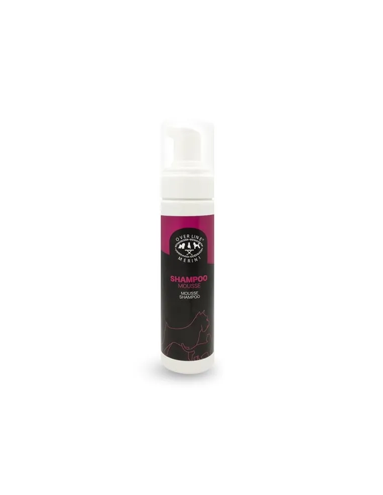 Shampoing Sec Mousse 200ml