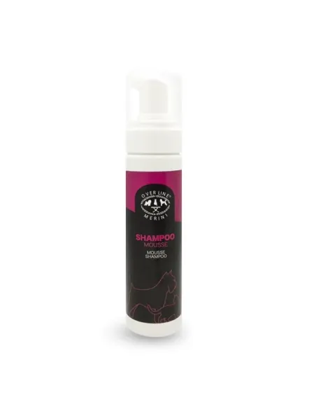 Dry Shampoo Mousse 200ml