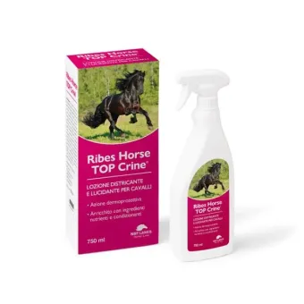 Ribes loción de crin de caballo 500 ml