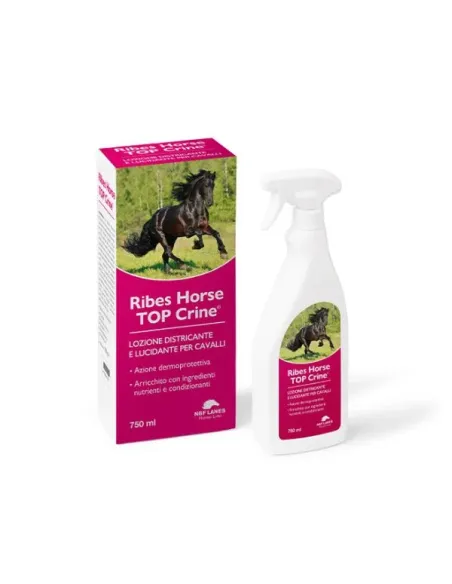 Ribes horse top crine lozione 500 ml