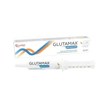 Glutamax advanced pasta 30 ml