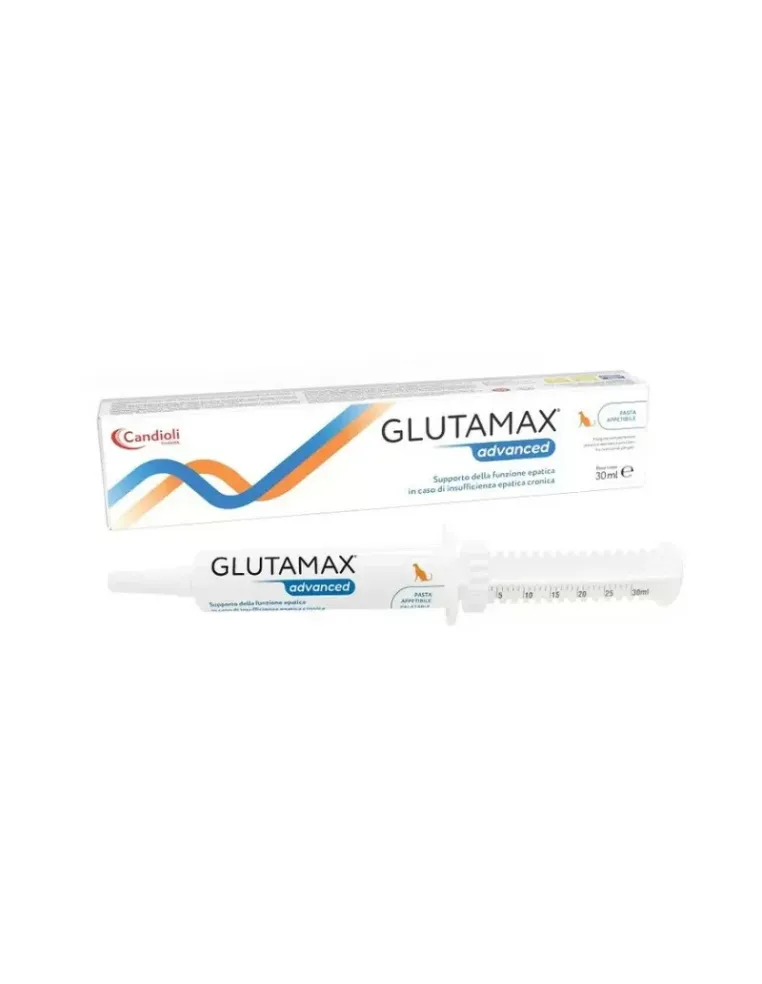 Glutamax pasta avanzada 30 ml