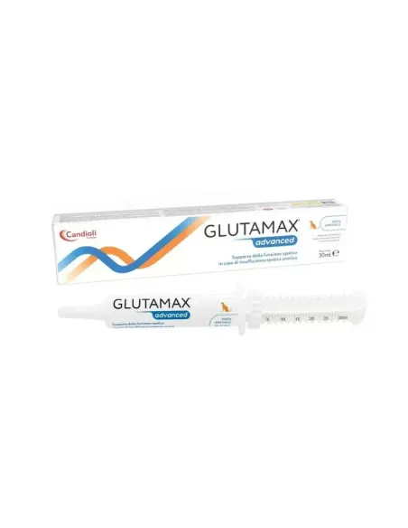 Glutamax pâte avancée 30 ml