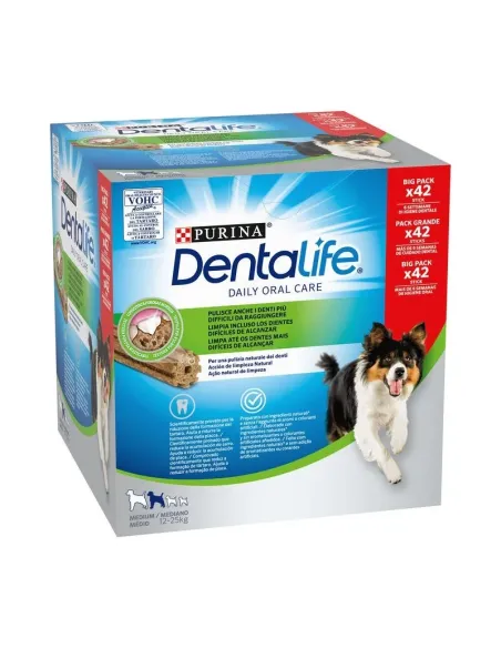 Zestaw średni Bick firmy Dentalife