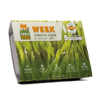 Erbapiù Week - Kit di Semina