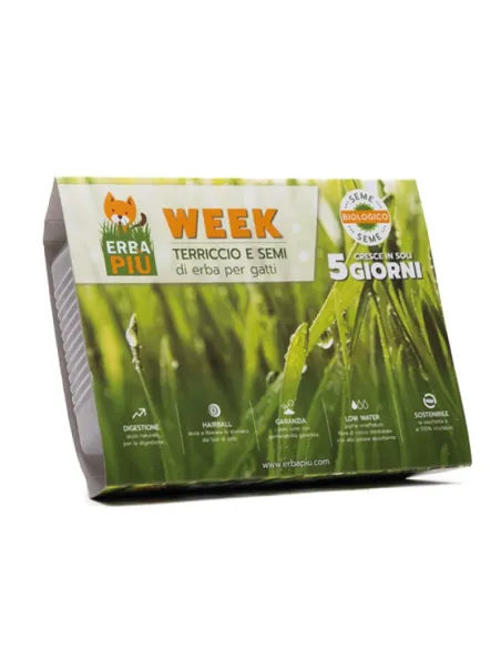 Erbapiù Week - Kit di Semina