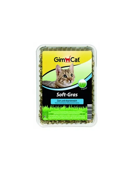 Gimcat Erba-Gatto Ex.Soft 100 gr