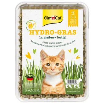 Gimcat Erba-Gatto HY Gras 150g