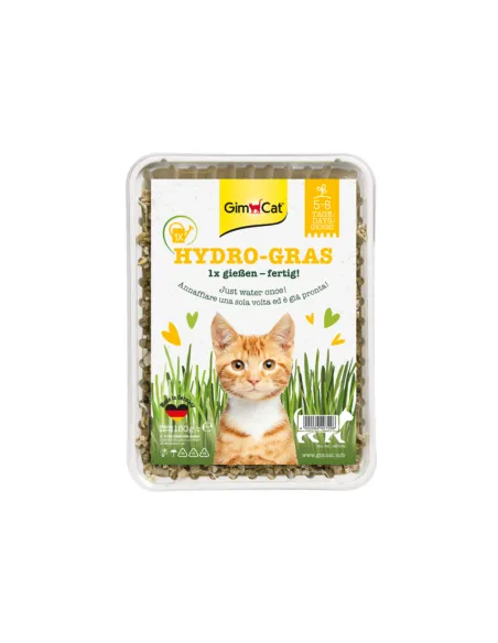 Gimborn Hydro-Gras Erba Gatto 150g