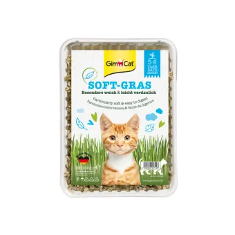 Gimborn Soft-Gras Erba Gatto 100g