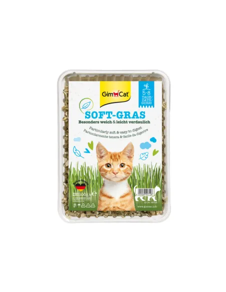 Gimborn Soft-Gras Erba Gatto 100g