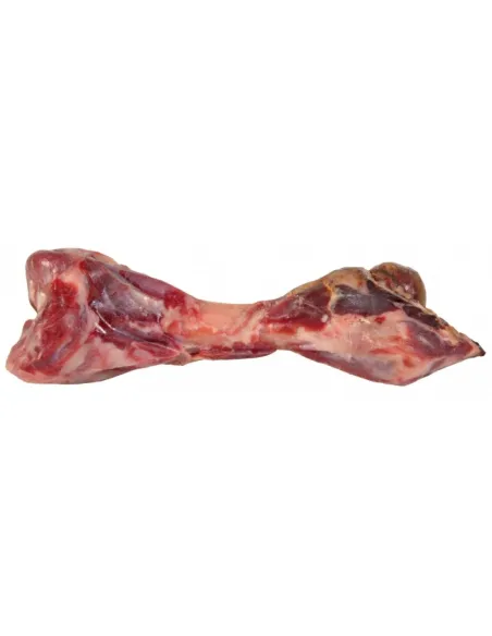 Osso Di Prosciutto Crudo 24cm 390gr tx2756