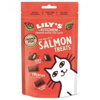 Lily's Kitchen Cat Snack Lilys Pillow Salmone 60g