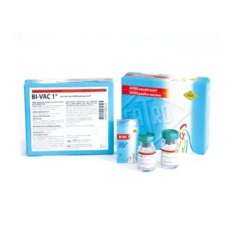 Bivac I° OS FL 1000 D