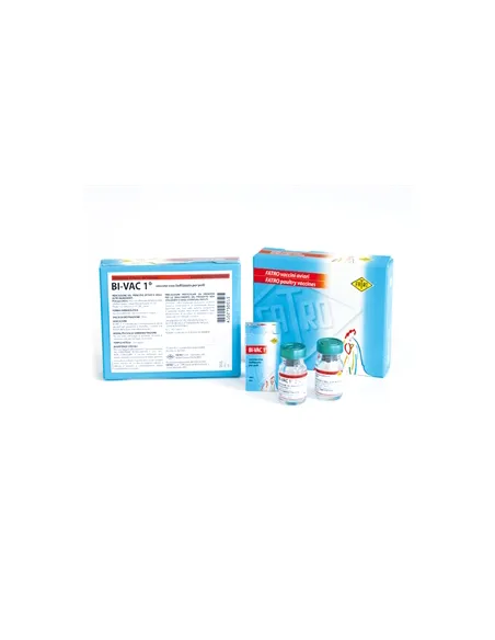 Bivac I° OS FL 1000 D