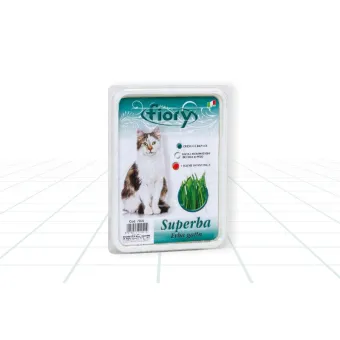 Erba Gatto Superba Fiory