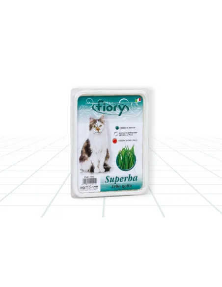 Erba Gatto Superba Fiory