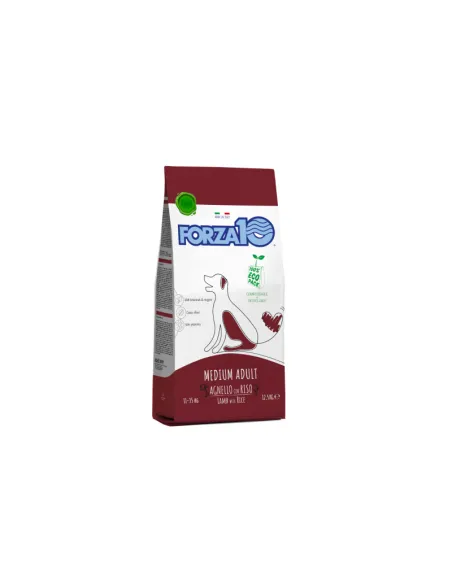 Forza 10 Cane Medium Maintenance Agnello/Riso 12 kg