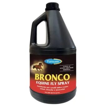 Bronco 3,8 lt